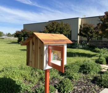 Book Distribution